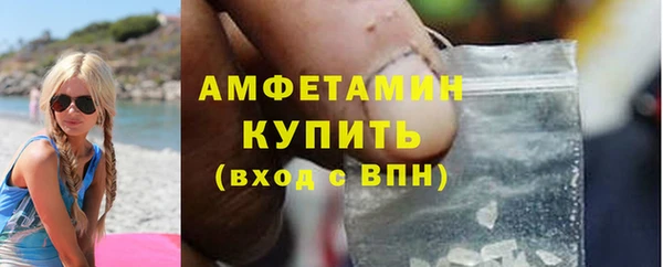 прущие грибы Аркадак
