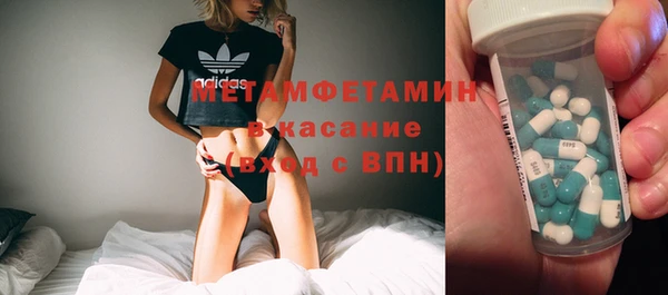 прущие грибы Аркадак