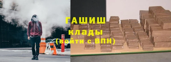 прущие грибы Аркадак