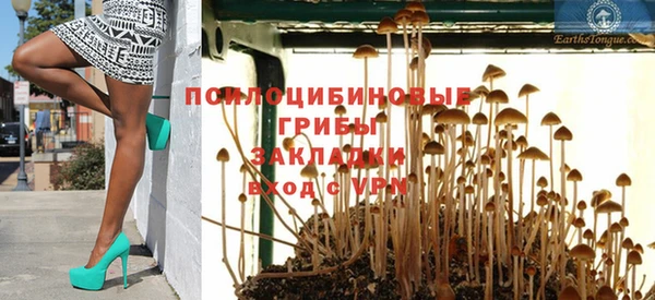 mdpv Нея