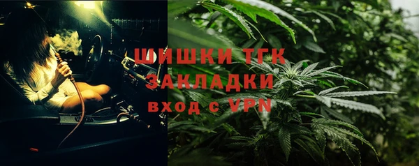 прущие грибы Аркадак